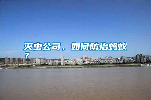 滅蟲公司，如何防治螞蟻？