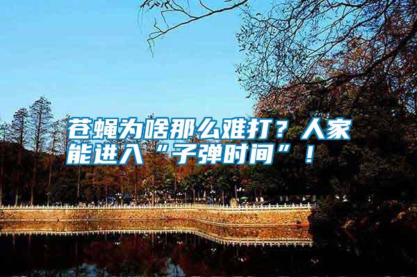 蒼蠅為啥那么難打？人家能進(jìn)入“子彈時間”！