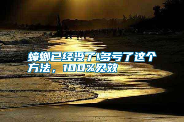 蟑螂已經沒了!多虧了這個方法，100%見效