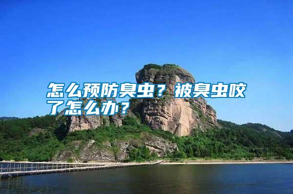 怎么預防臭蟲？被臭蟲咬了怎么辦？