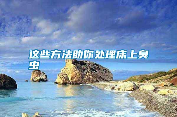 這些方法助你處理床上臭蟲(chóng)