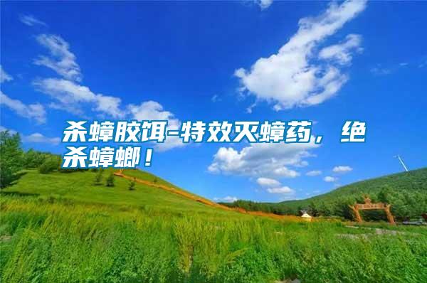 殺蟑膠餌-特效滅蟑藥，絕殺蟑螂！