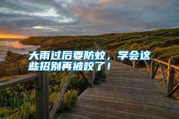 大雨過后要防蚊，學會這些招別再被咬了！