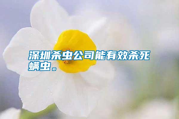 深圳殺蟲公司能有效殺死螨蟲。