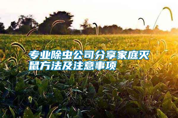專業除蟲公司分享家庭滅鼠方法及注意事項