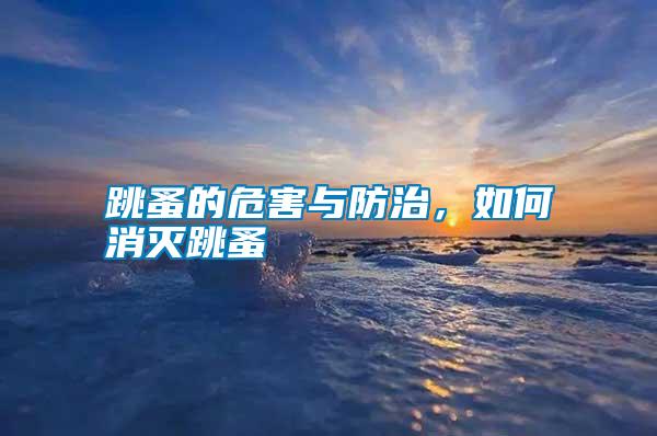 跳蚤的危害與防治，如何消滅跳蚤