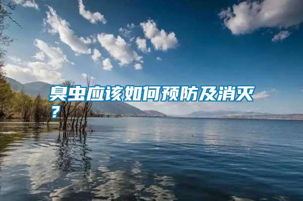 臭蟲(chóng)應(yīng)該如何預(yù)防及消滅？