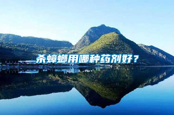 殺蟑螂用哪種藥劑好？