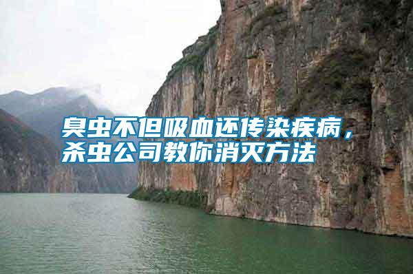 臭蟲不但吸血還傳染疾病，殺蟲公司教你消滅方法