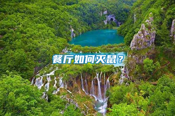 餐廳如何滅鼠？