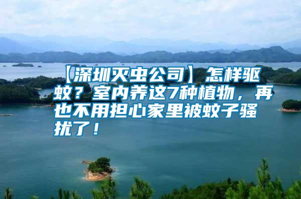 【深圳滅蟲公司】怎樣驅(qū)蚊？室內(nèi)養(yǎng)這7種植物，再也不用擔心家里被蚊子騷擾了！