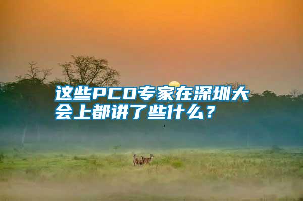 這些PCO專家在深圳大會上都講了些什么?