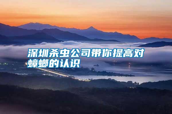 深圳殺蟲公司帶你提高對蟑螂的認(rèn)識(shí)
