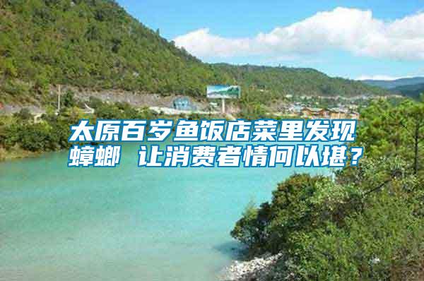 太原百歲魚飯店菜里發現蟑螂 讓消費者情何以堪？