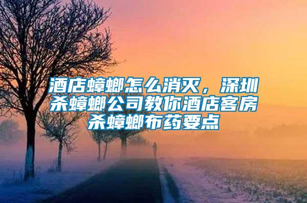 酒店蟑螂怎么消滅，深圳殺蟑螂公司教你酒店客房殺蟑螂布藥要點(diǎn)