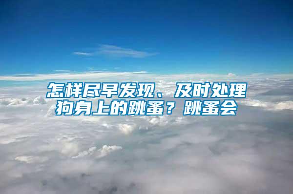 怎樣盡早發(fā)現(xiàn)、及時處理狗身上的跳蚤？跳蚤會