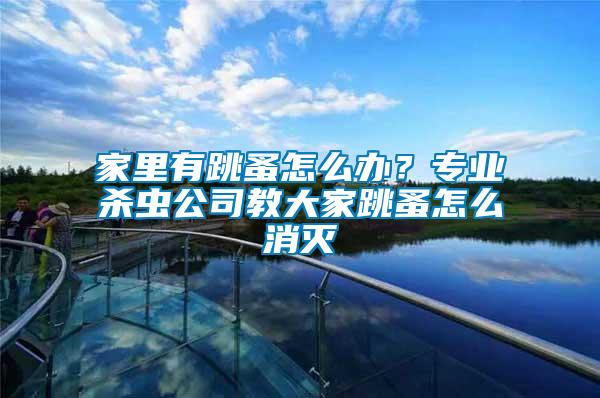 家里有跳蚤怎么辦？專業殺蟲公司教大家跳蚤怎么消滅