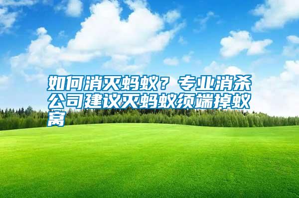 如何消滅螞蟻？專業(yè)消殺公司建議滅螞蟻須端掉蟻窩