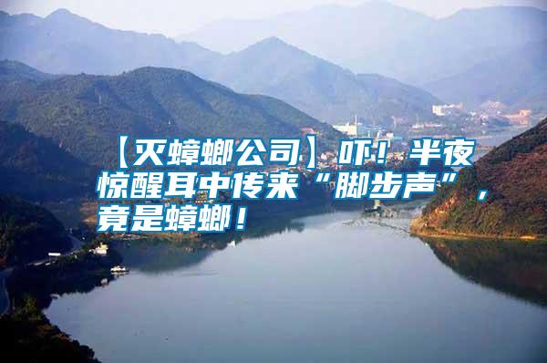 【滅蟑螂公司】嚇！半夜驚醒耳中傳來(lái)“腳步聲”，竟是蟑螂！