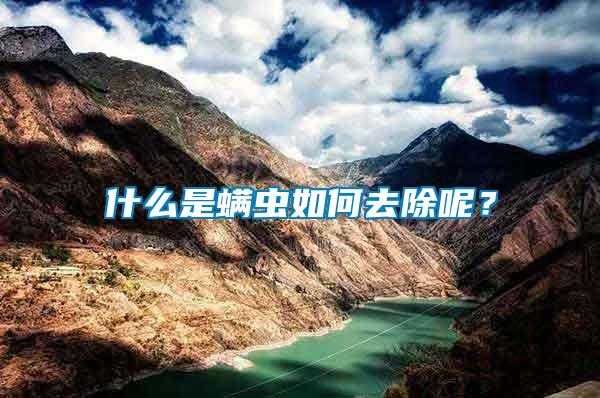 什么是螨蟲如何去除呢？