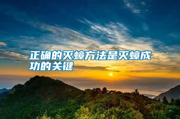 正確的滅蟑方法是滅蟑成功的關鍵