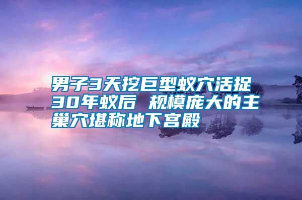 男子3天挖巨型蟻穴活捉30年蟻后 規(guī)模龐大的主巢穴堪稱(chēng)地下宮殿