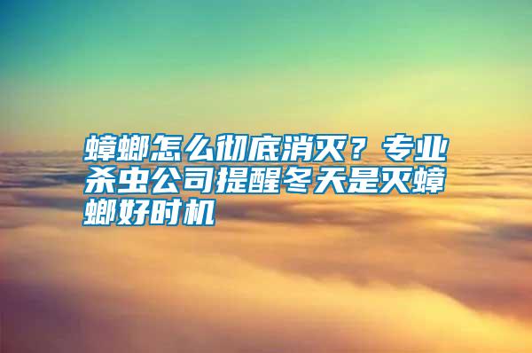 蟑螂怎么徹底消滅？專業殺蟲公司提醒冬天是滅蟑螂好時機