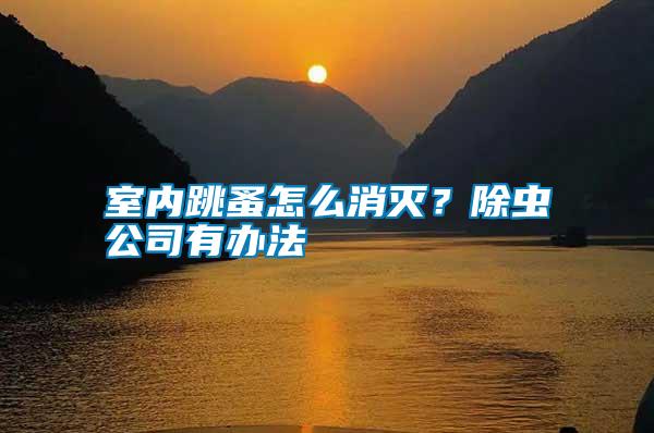 室內(nèi)跳蚤怎么消滅?除蟲公司有辦法