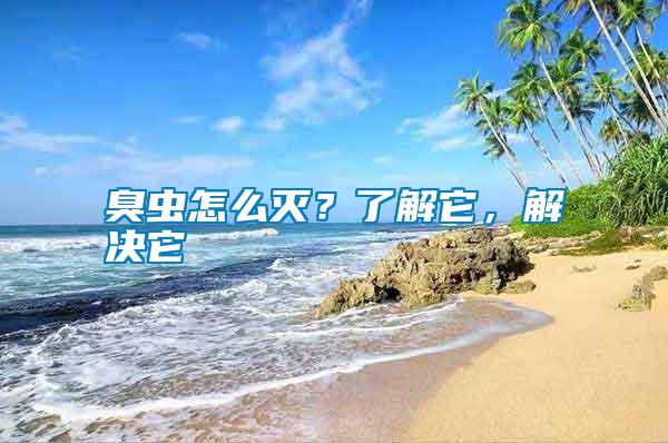 臭蟲怎么滅？了解它，解決它