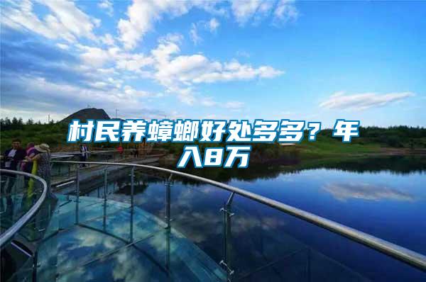 村民養(yǎng)蟑螂好處多多？年入8萬(wàn)