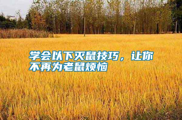 學會以下滅鼠技巧，讓你不再為老鼠煩惱