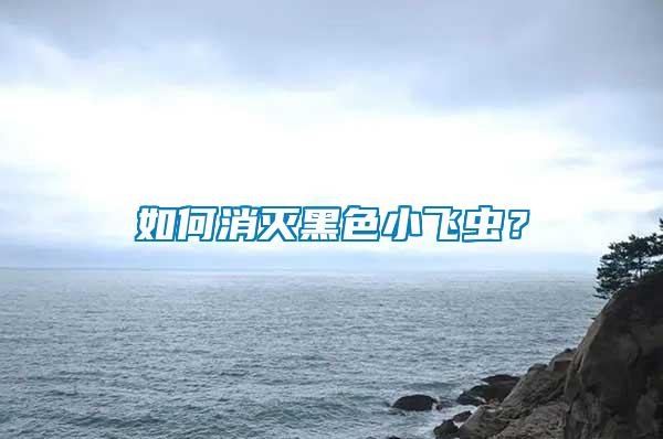 如何消滅黑色小飛蟲？