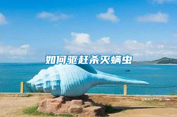 如何驅趕殺滅螨蟲