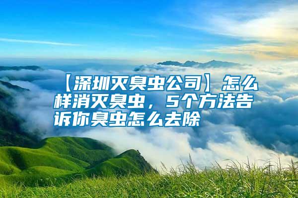 【深圳滅臭蟲公司】怎么樣消滅臭蟲，5個方法告訴你臭蟲怎么去除