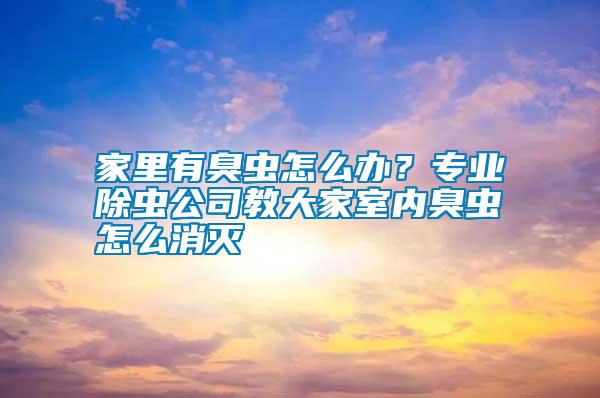 家里有臭蟲怎么辦？專業除蟲公司教大家室內臭蟲怎么消滅