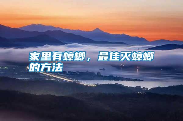 家里有蟑螂，最佳滅蟑螂的方法