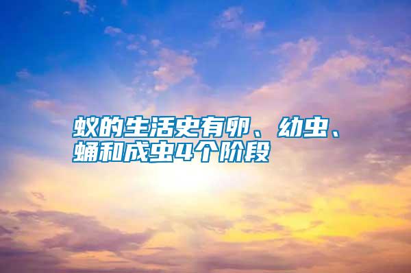 蟻的生活史有卵、幼蟲、蛹和成蟲4個階段