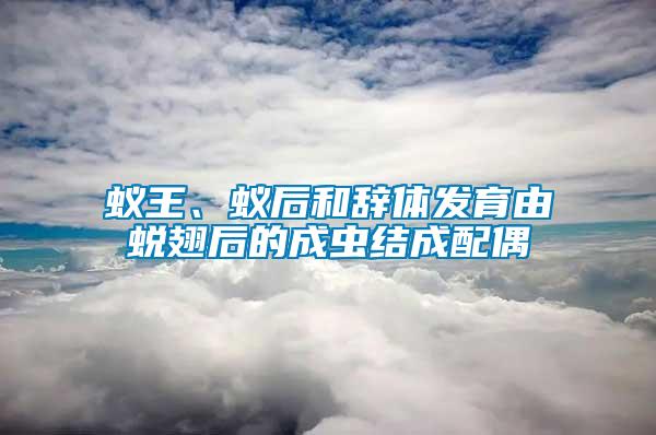 蟻王、蟻后和辭體發育由蛻翅后的成蟲結成配偶