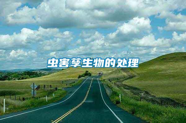 蟲(chóng)害孳生物的處理