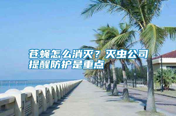 蒼蠅怎么消滅？滅蟲公司提醒防護是重點