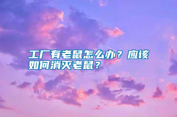 工廠有老鼠怎么辦？應該如何消滅老鼠？