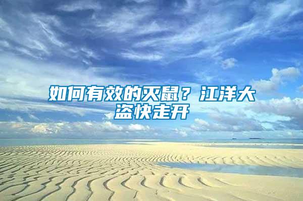 如何有效的滅鼠？江洋大盜快走開