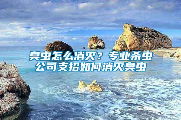 臭蟲怎么消滅？專業殺蟲公司支招如何消滅臭蟲