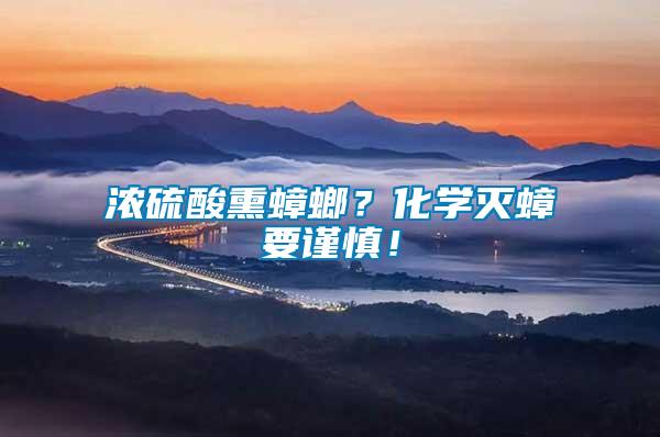 濃硫酸熏蟑螂？化學滅蟑要謹慎！