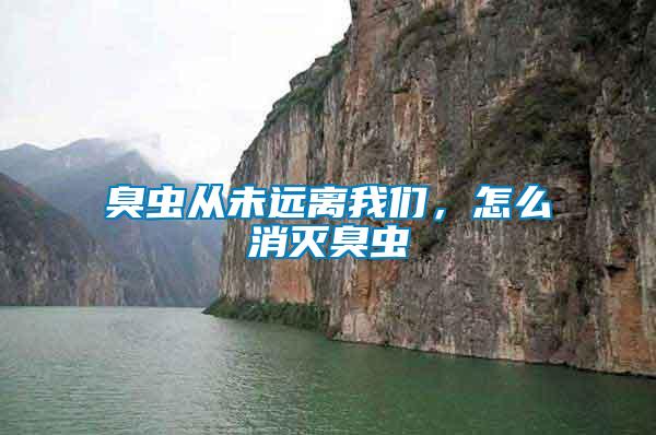 臭蟲從未遠離我們，怎么消滅臭蟲