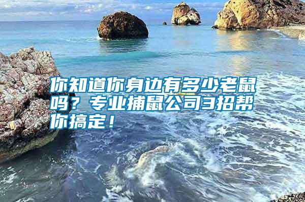 你知道你身邊有多少老鼠嗎？專業(yè)捕鼠公司3招幫你搞定！