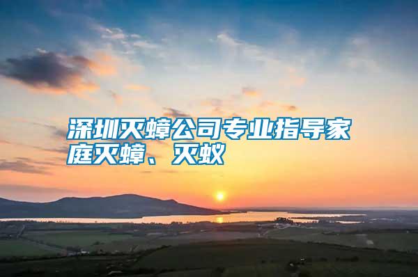 深圳滅蟑公司專業指導家庭滅蟑、滅蟻