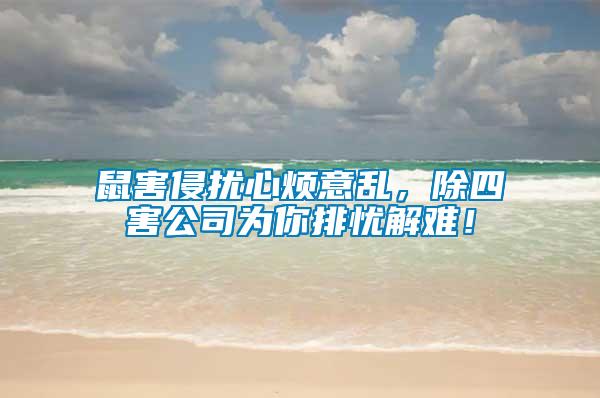 鼠害侵?jǐn)_心煩意亂，除四害公司為你排憂解難！
