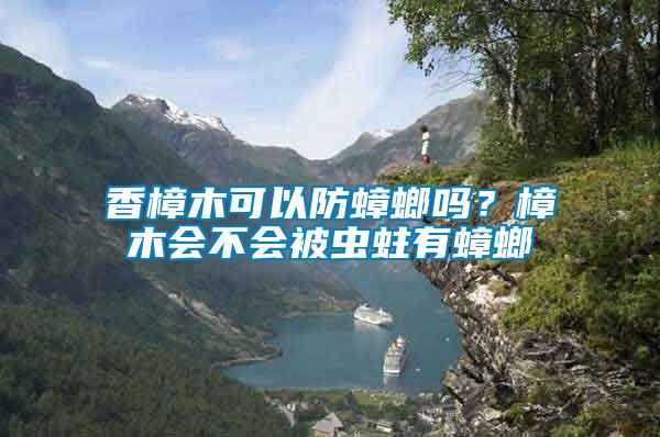 香樟木可以防蟑螂嗎？樟木會(huì)不會(huì)被蟲(chóng)蛀有蟑螂