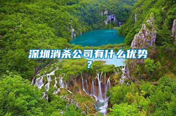 深圳消殺公司有什么優(yōu)勢？